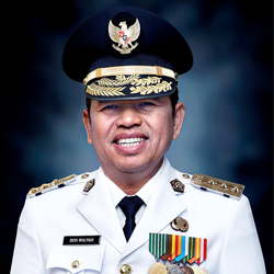 DEDI MULYADI