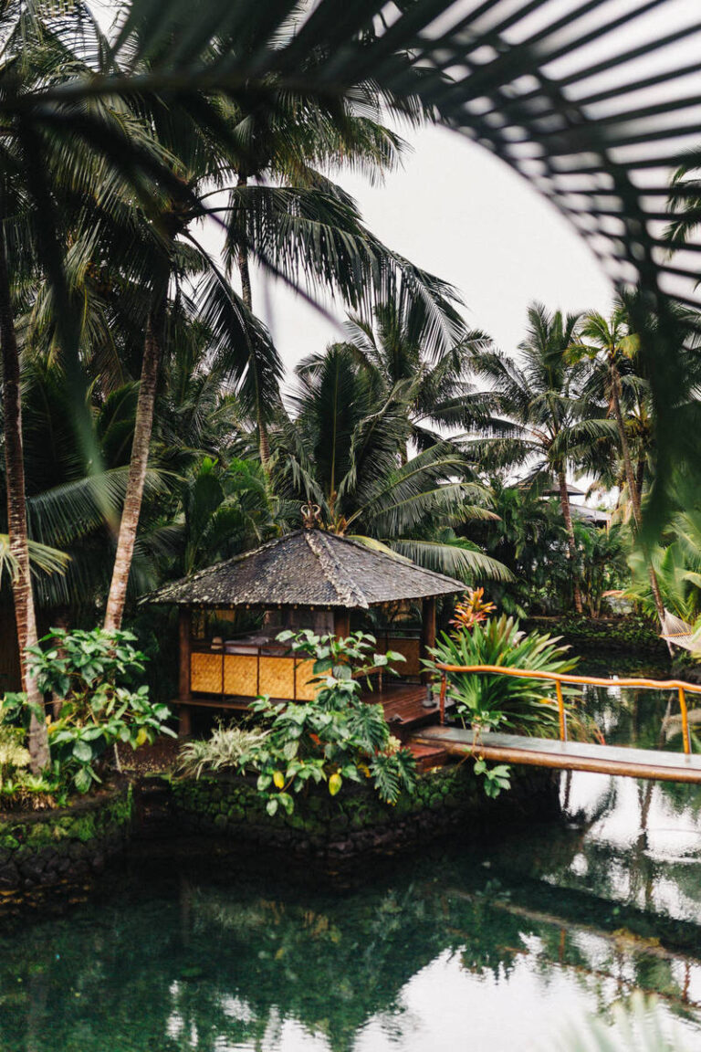 Depositphotos 389112556 XL